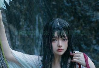 阿寨寨的迷离视角：受虐魅魔图集精选