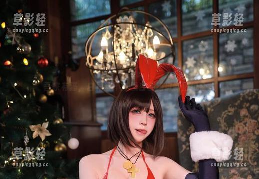 吾家有猫，白裙敌不过黑白御猫自制壁纸合集